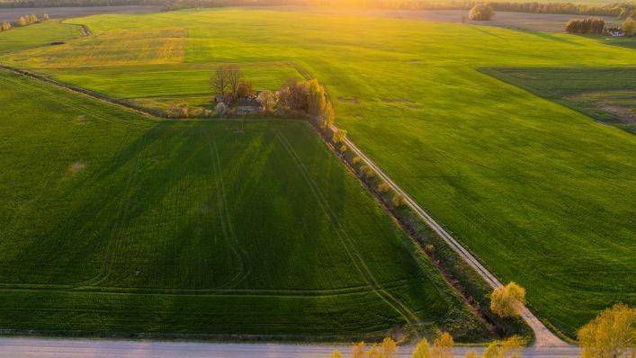 Visoje šalyje skelbiama ekstremali situacija dėl audros padarinių 