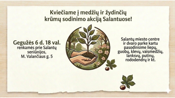 Kviečiame į medžių ir žydinčių krūmų sodinimo akciją Salantuose