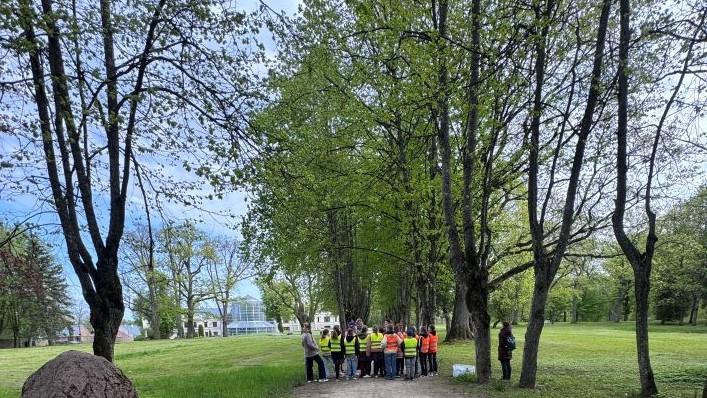 Edukacijos Kretingos dvaro parke: 369 pradinukai tyrinėjo senąsias medžių alėjas