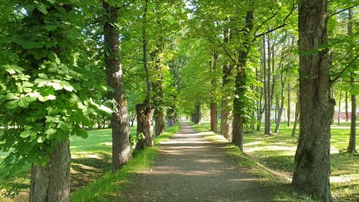 Balandžio ir gegužės mėnesiais vėl kviečiame tapti Šiaurės Lietuvos alėjų detektyvais! 