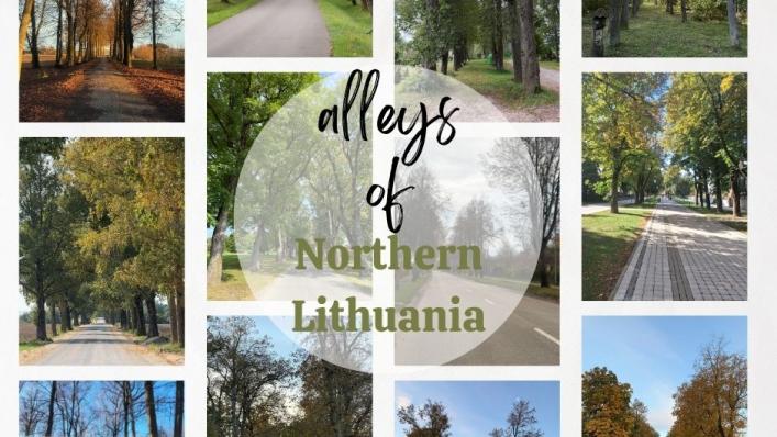 niciatyvos „Tapk alėjų detektyvu!“ rudeninės sesijos apžvalga – Šiaurės Lietuva pasipildė 113 medžių alėjomis